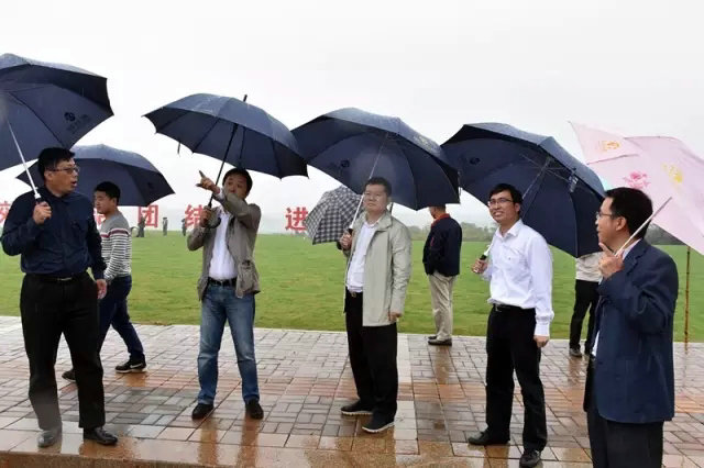 雨中巡视,把好“新区”挂牌前最后一道关!