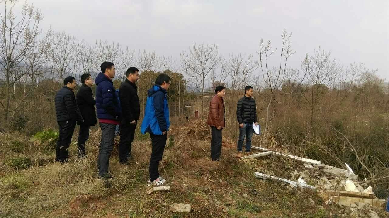 协调解决问题 力促项目提速