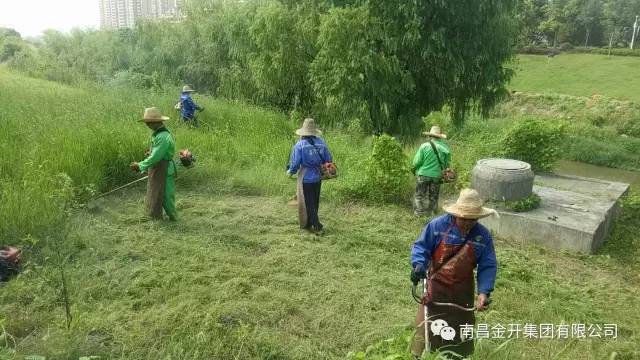 洒下汗水收获美丽 致城市的高级美容师——园林工人 