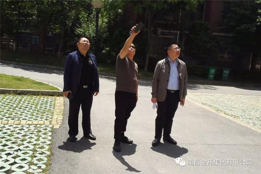 市政公司组织开展现有资产巡查工作