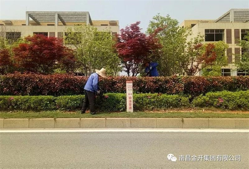 全力开展环境整治  营造清洁优美环境