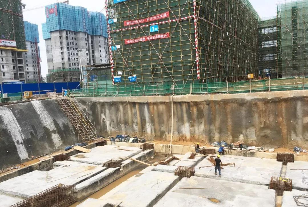 金开BY.COM持续开展“三比一看”活动