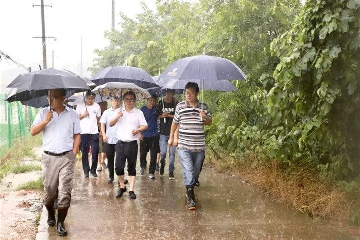 【专题报道】闻“汛”而动、风雨无阻
