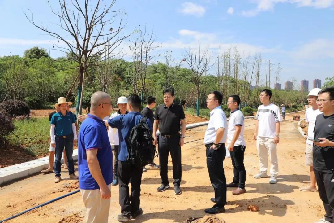 董事长谢荣华调研BY.COM建设项目安全生产和项目推进工作