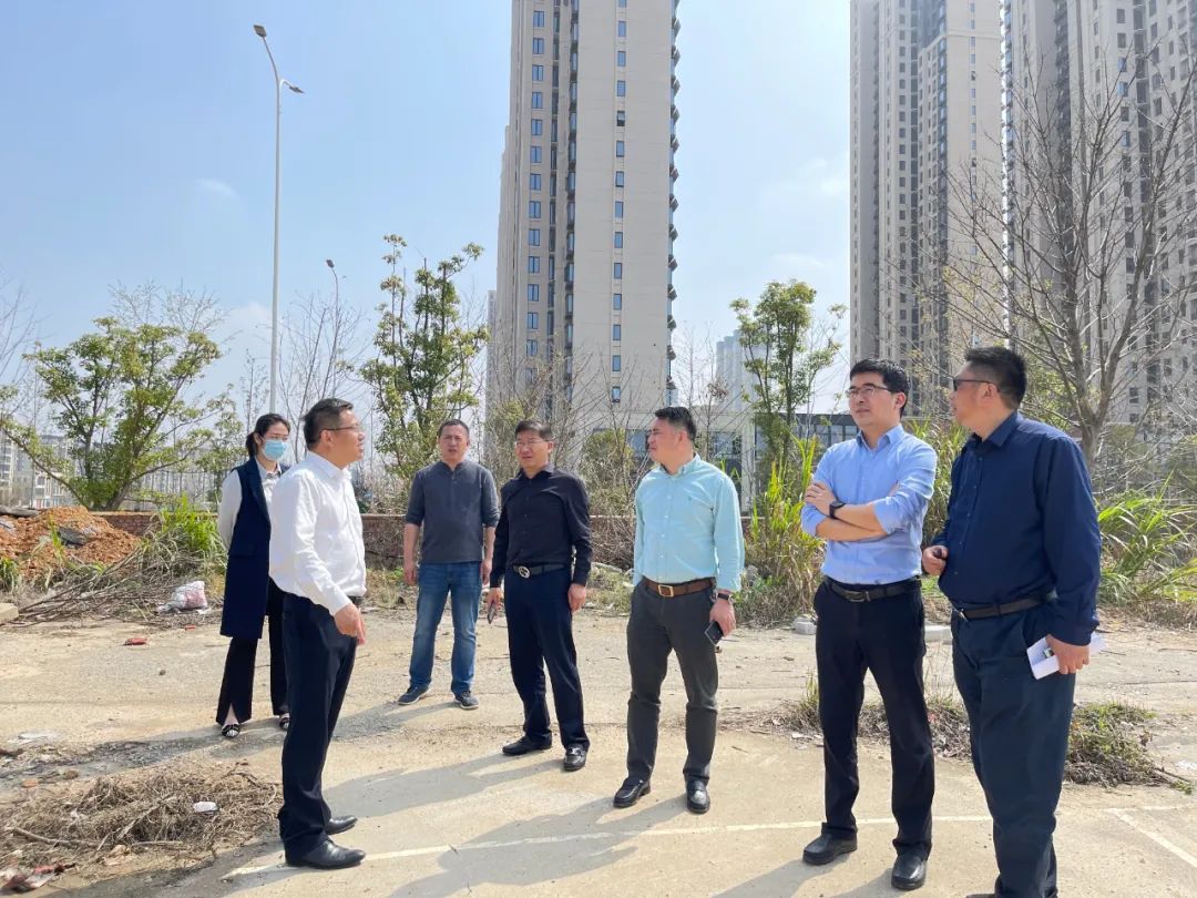 贺敏现场调研BY.COM地产板块新摘土地项目