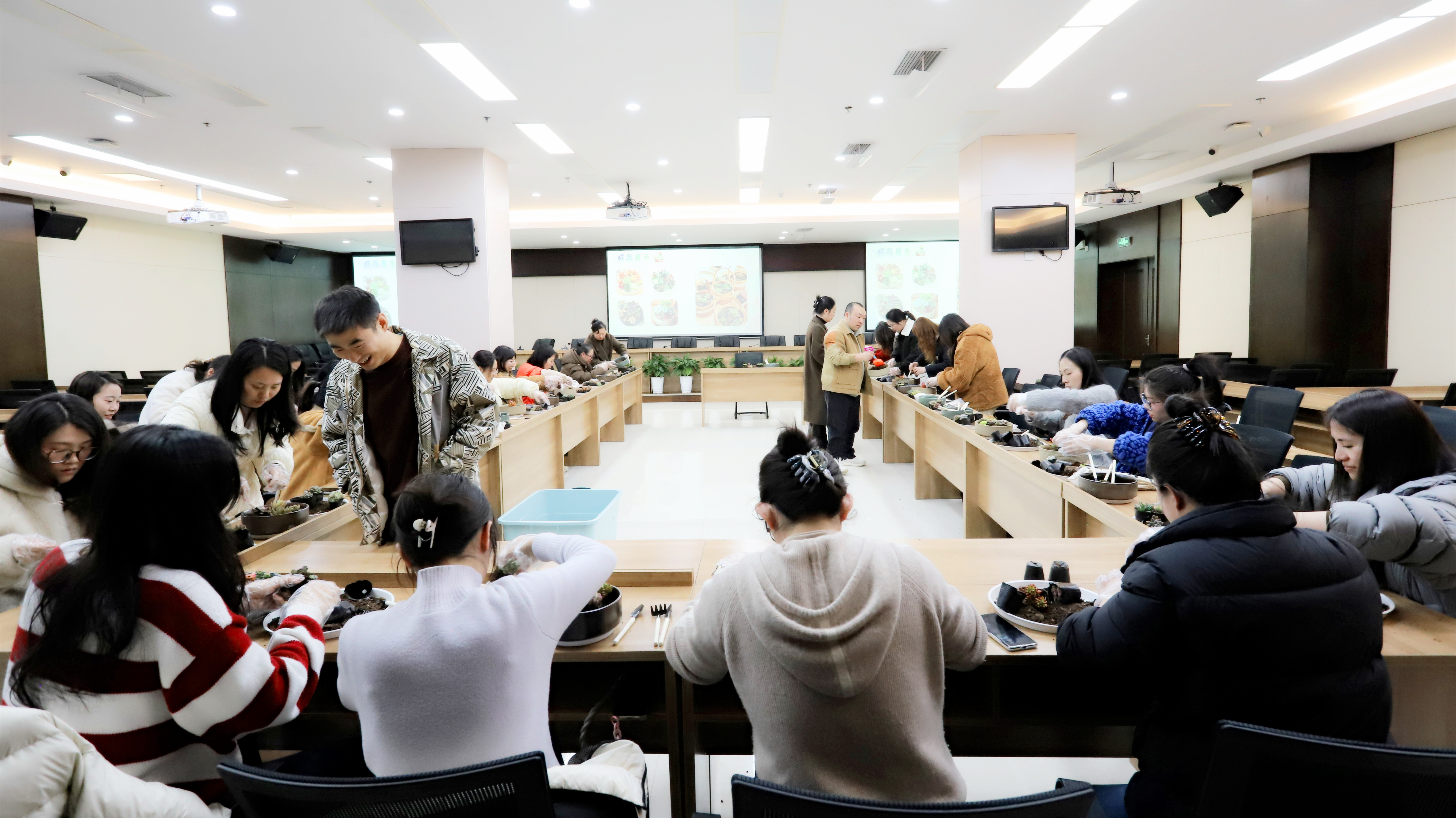 工会举办“芳华常在·笑靥如花”三八妇女节多肉DIY创意活动